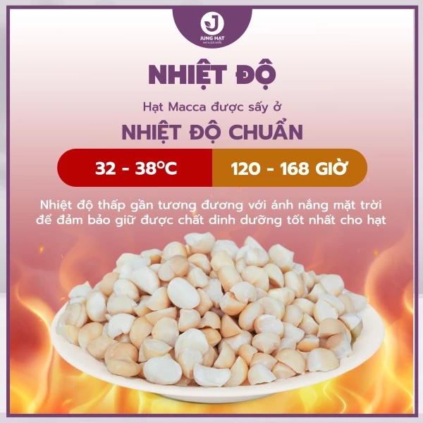 Nhân hạt Macca vỡ đôi JUNG HẠT - LÀM SỮA HẠT NGON, ĂN LIỀN TIỆN LỢI