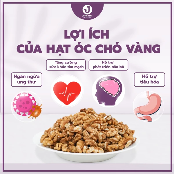 Nhân Hạt Óc chó vàng JUNG HẠT  -  HỖ TRỢ SỨC KHỎE TIM MẠCH