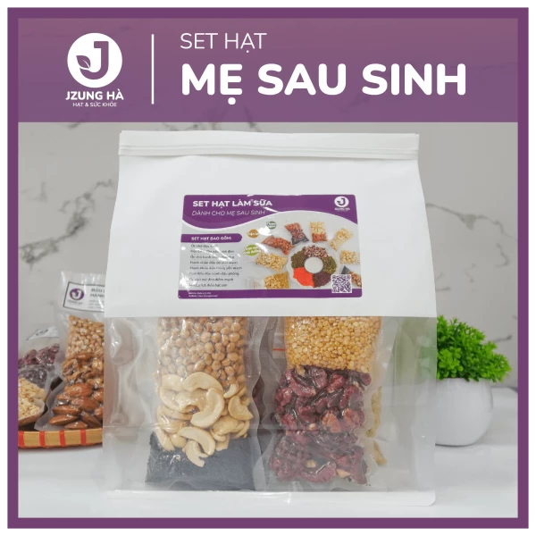 Set hạt làm sữa dinh dưỡng dành cho MẸ SAU SINH - JUNG HẠT - Gói mix hạt CAO CẤP (50-60% hạt béo)