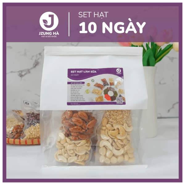 Set hạt làm sữa dinh dưỡng MIX SẴN 10 NGÀY - JUNG HẠT - Gói mix hạt CAO CẤP (50-60% hạt béo)