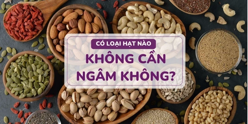 Có bắt buộc phải ngâm hạt khi làm sữa không? Cùng tìm hiểu với Jung Hạt nhé