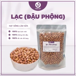 Lạc đậu phộng sống ngon nấu sữa hạt - Đậu sạch chất lượng - Jung Hạt