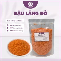 Đậu lăng đỏ nấu sữa hạt - Đậu sạch chất lượng - Jung Hạt