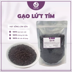 Gạo lứt tím than Điện Biên nấu sữa hạt ngon - Hạt thơm ngon chất lượng - Jung Hạt