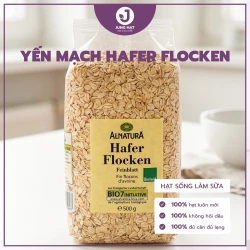 YẾN MẠCH nấu sữa hạt - Hạt mới sạch, tiện phối công thức - JUNG HẠT | 500g túi zip