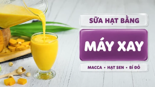Cách Làm Sữa Hạt Macca Hạt Sen Bí Đỏ Bằng Máy Xay Sinh Tố Không Cần Máy Nấu Sữa