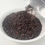 GẠO LỨT TÍM THAN nấu sữa hạt - Thơm ngon, hạt mới chất lượng - JUNG HẠT | 250g/500g/1kg túi zip