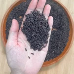 GẠO LỨT TÍM THAN nấu sữa hạt - Thơm ngon, hạt mới chất lượng - JUNG HẠT | 250g/500g/1kg túi zip
