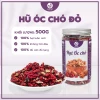 Nhân Hạt Óc chó đỏ JUNG HẠT - ĐẸP DA, CHỐNG OXY HÓA