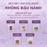 Set nấu sữa hạt mix sẵn KHÔNG ĐẬU NÀNH - TIÊU CHUẨN - Gói hút chân không, kèm muối hồng & đường phèn - JUNG HẠT | 50g/100g/gói