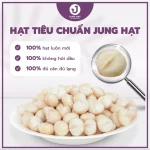 Hạt MACCA làm sữa hạt - NHÂN MACCA NGUYÊN SIZE LỚN >27MM, thơm béo - JUNG HẠT | 250g/500g
