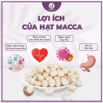 Hạt MACCA làm sữa hạt - NHÂN MACCA NGUYÊN SIZE LỚN >27MM, thơm béo - JUNG HẠT | 250g/500g