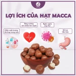 Hạt MACCA làm sữa hạt - MACCA NỨT VỎ thơm ngon, ăn liền tiện lợi - JUNG HẠT | 250g/500g