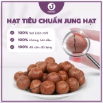 Hạt MACCA làm sữa hạt - MACCA NỨT VỎ thơm ngon, ăn liền tiện lợi - JUNG HẠT | 250g/500g