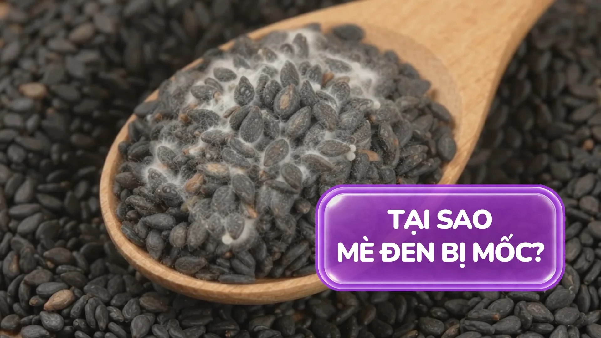 Mè Đen Bị Mốc Do Đâu? Cách Rang Mè Chuẩn, Mẹo Bảo Quản Và Gợi Ý Bữa Sáng Dưỡng Sinh