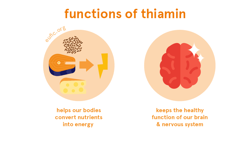 Vitamin B1 hỗ trợ hệ thần kinh - Jung Hạt